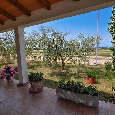 Angela Apartment Novigrad Istria Exterior foto