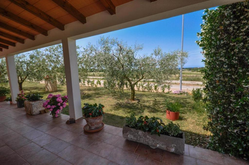 Angela Apartment Novigrad Istria Exterior foto