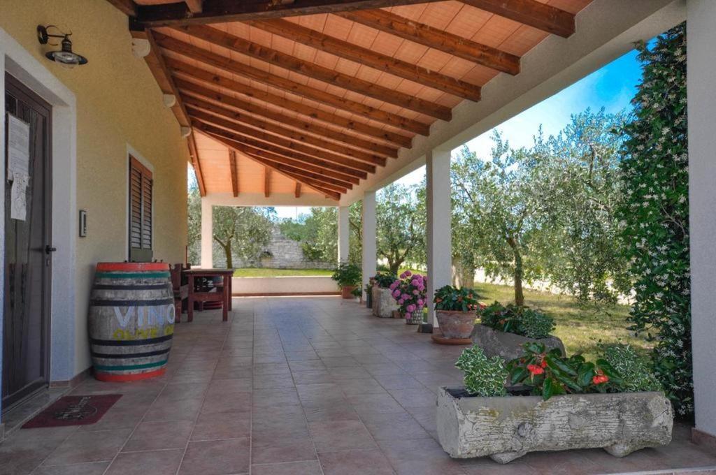 Angela Apartment Novigrad Istria Exterior foto