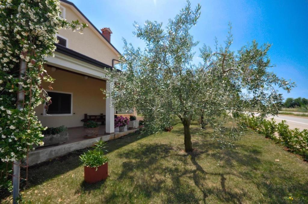Angela Apartment Novigrad Istria Exterior foto